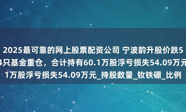 2025最可靠的网上股票配资公司 宁波韵升股价跌5.19%，国泰基金旗下4只基金重仓，合计持有60.1万股浮亏损失54.09万元_持股数量_钕铁硼_比例